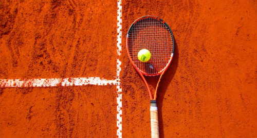 Volandri celebra la Coppa Davis e Preannuncia Visita a Mattarella